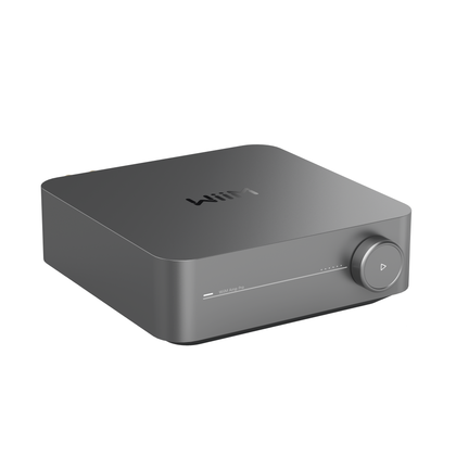 WiiM-Amp Pro