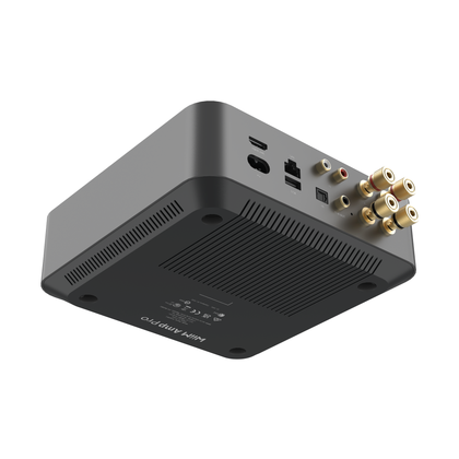 WiiM-Amp Pro
