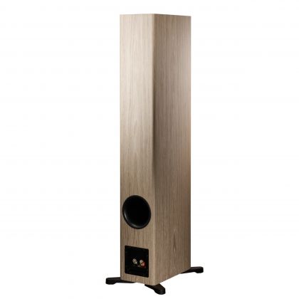 DYNAUDIO　Evoke 50　Blonde Wood　rear