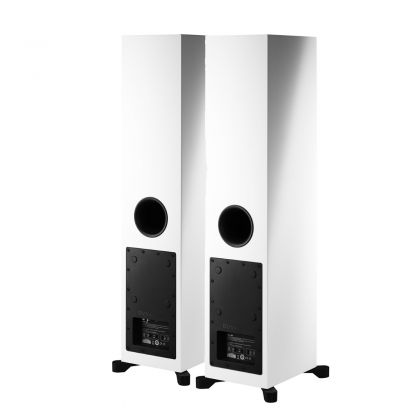 DYNAUDIO　Xeo 30　rear