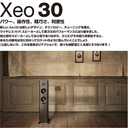 DYNAUDIO　Xeo 30