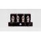 TRIODE　TRZ-300W